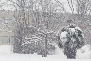 県内大雪警報解除後も時々激しい雪 三条で積雪94センチ