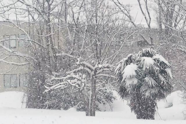 午前9時半ころ燕市で激しく降る雪