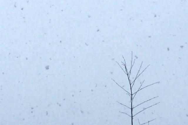 20日夕方、燕市に降る春の泡雪