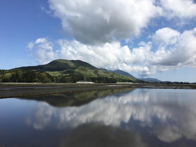 スマホで撮ったとは思えない田んぼの水鏡に映る国上山のダイナミックで美しい姿