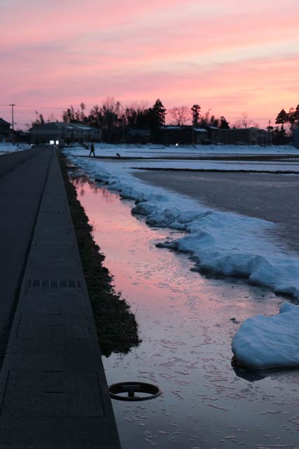 燕三条駅近くの田んぼの雪解けした水面が夕焼けに赤く染まる