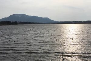 5月中旬並みの21.3度の初夏を思わせる陽気