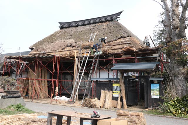 福井旧庄屋佐藤家で20年ぶりに行われているかやぶき屋根のふき替え