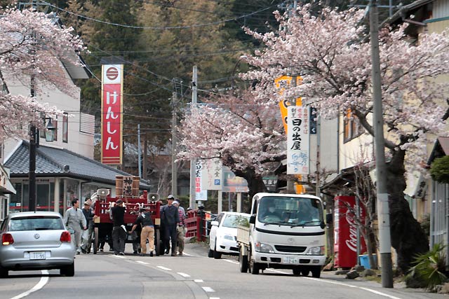 サクラが見ごろの温泉街を進む