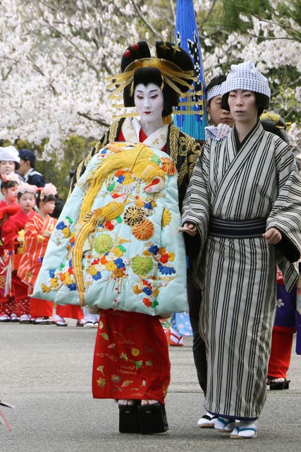 昨年の分水おいらん道中で大河分水桜土手を進む丸山さん