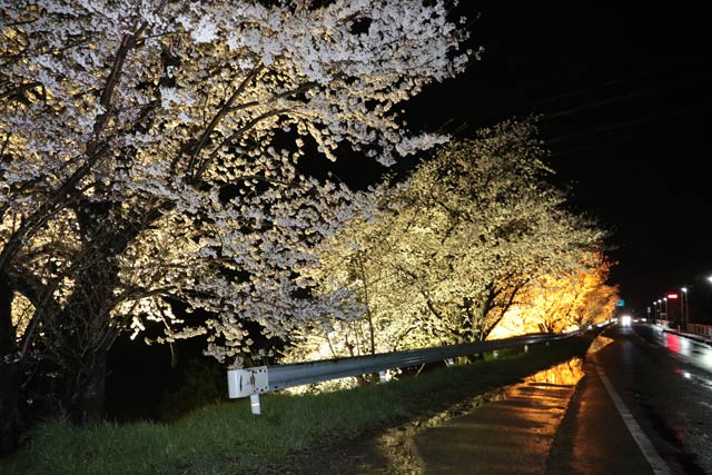 7日夜の燕消防署前