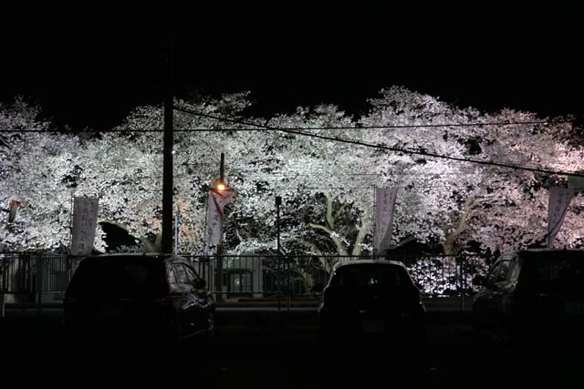 7日夜の分水駅