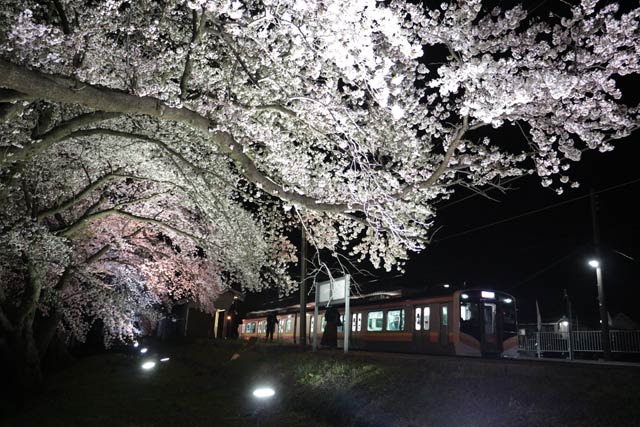 7日夜の分水駅
