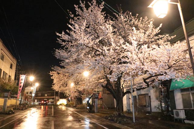 8日夜の弥彦・停車場通り