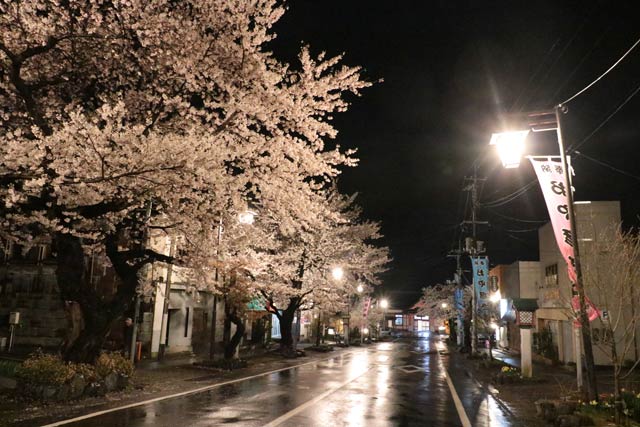 8日夜の弥彦・停車場通り