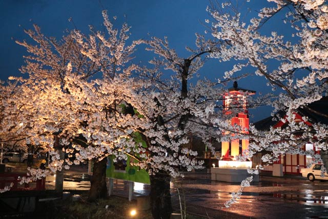 8日夜の弥彦駅前