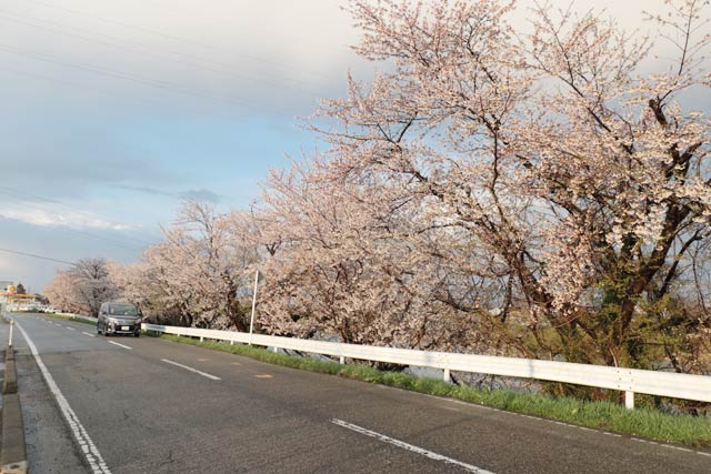 8日夕方の燕消防署前