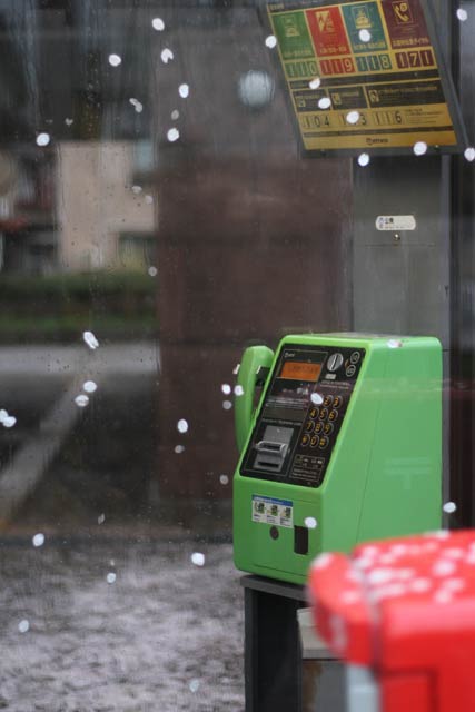 北三条駅前の公衆電話ボックスのガラスに張り付いた花びらがストップモーションのように見える