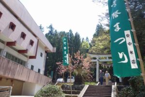 雪椿大園遊会が開かれる市民体育館前ののぼり旗