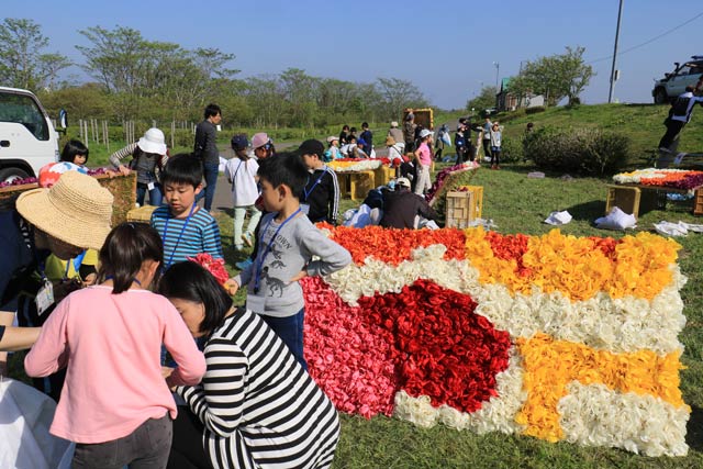 大曲河川公園でチューリップの花絵づくり