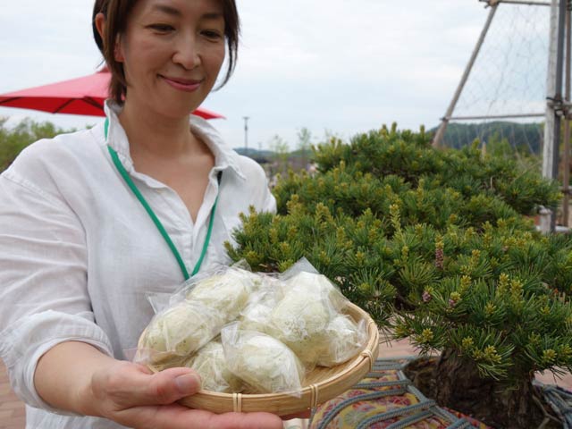 道の駅「庭園の郷 保内」が発売した「五葉松まんじゅう」
