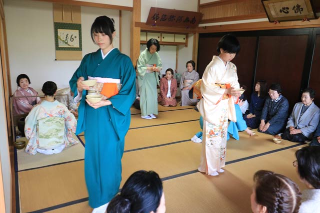 白藤茶会