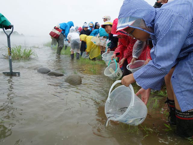 一ノ木戸小4年生がアユの稚魚約15,000匹を五十嵐川に放流