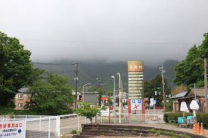 カモシカの存在が確認された弥彦山