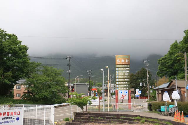 カモシカの存在が確認された弥彦山