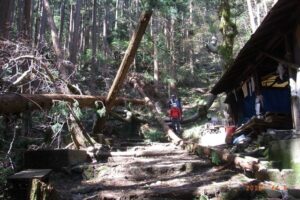 弥彦山登山道の通行止めが6月末までに解除