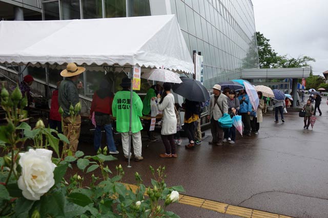 春の保内公園まつりで花鉢のプレゼントに行列