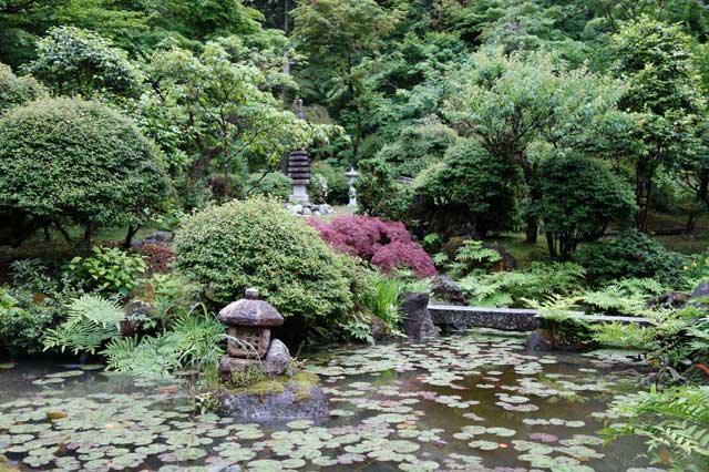 浄福寺の庭