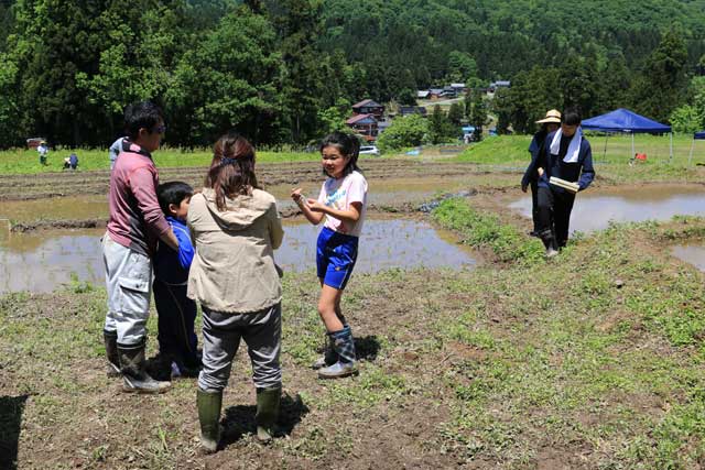 美しい南五百川の棚田