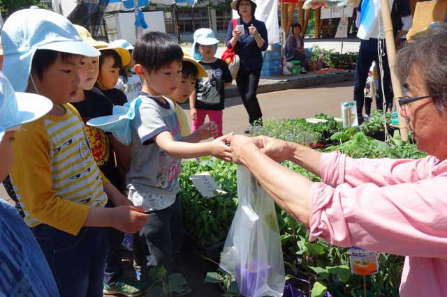 二・七の市で栽培する野菜の苗を買うふじの木保育園の5歳児