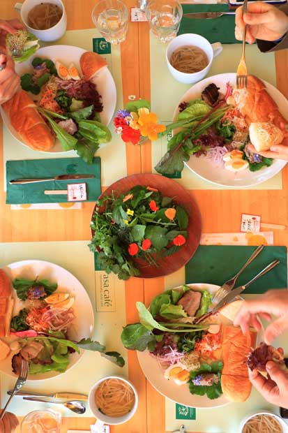 食欲をそそる華やかでヘルシーなメニュー