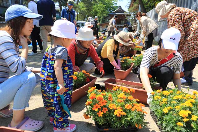 八幡町自治会ことしもプランターに花を植える