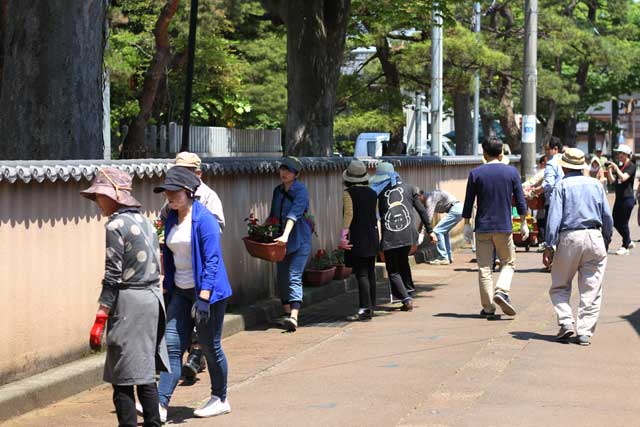 花を植えたプランターを盛りした通りに並べる