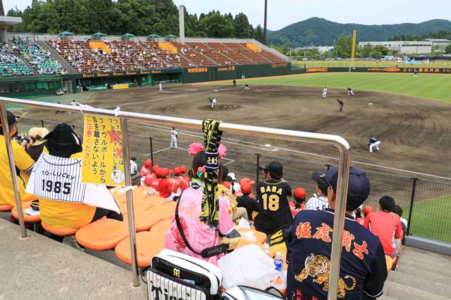 23日の「三条野球まつり」阪神タイガース対東京ヤクルトスワローズ戦のようす