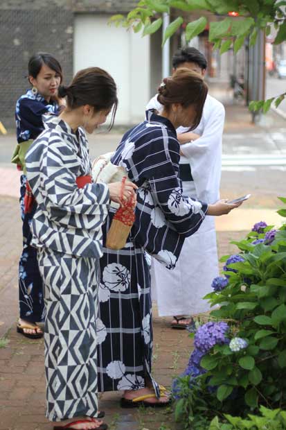 アジサイを撮る
