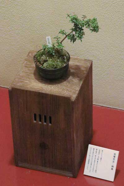 空壇花立・桐箱
