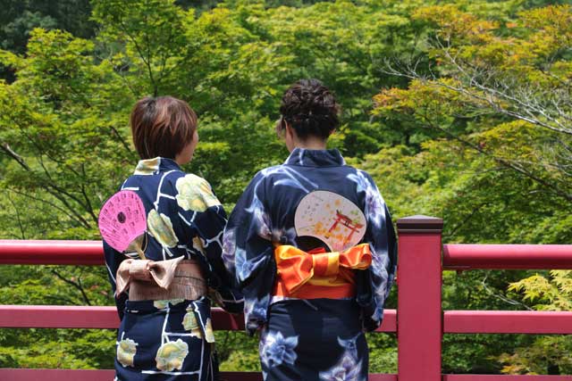 弥彦公園内のもみじ谷に架かる観月橋も撮影スポット