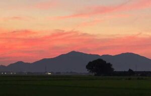 21日午後7時22分に燕市横田地内から