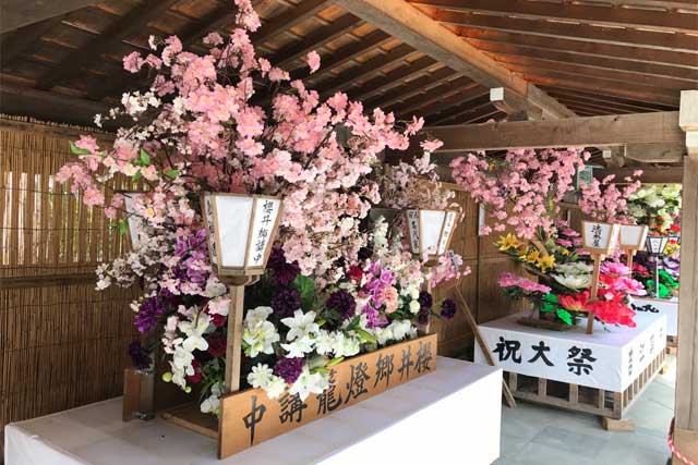 御慣し花揃いで花飾りを終えた大燈籠が拝殿回廊にに飾られた（弥彦村地域おこし協力隊撮影）