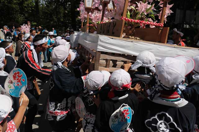 子ども燈籠押しで小学生も弥彦神社で燈籠の押し合い
