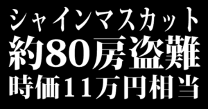 シャインマスカット 約80房盗難 時価11万2千円相当
