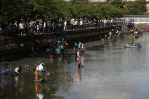 新発田城の堀の水ぜんぶ抜いて外来種退治