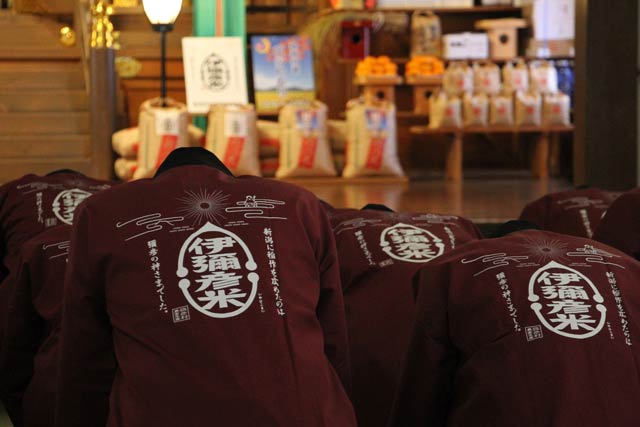 弥彦神社で行われた初めての伊彌彦米と弥彦コシヒカリの奉納式