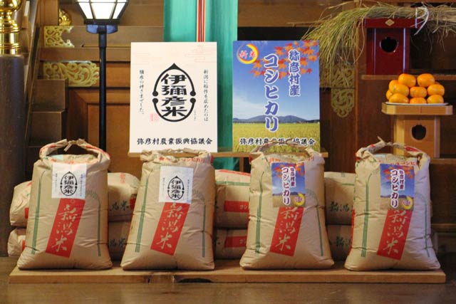 神前に伊彌彦米と弥彦コシヒカリを供えて
