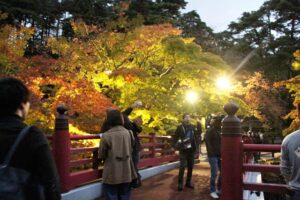 27日夜に弥彦公園の観月橋前で行われたライトアップの点灯式