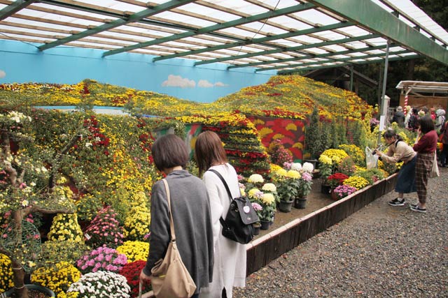 大風景花壇「華厳の滝」