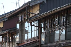 越後村上鮭塩引き街道始まる 町屋の軒下に塩引き鮭が並ぶ