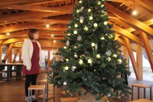 初めて「ステージえんがわ」に設置したクリスマスツリー