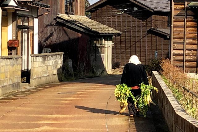 長岡市島崎で畑で抜いたダイコンを持って歩く
