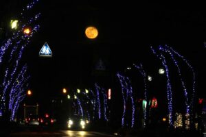 聖夜を彩る見附の街路樹イルミネーションと月
