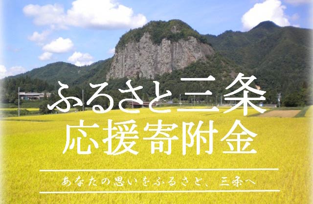 ふるさと三条　応援寄附金